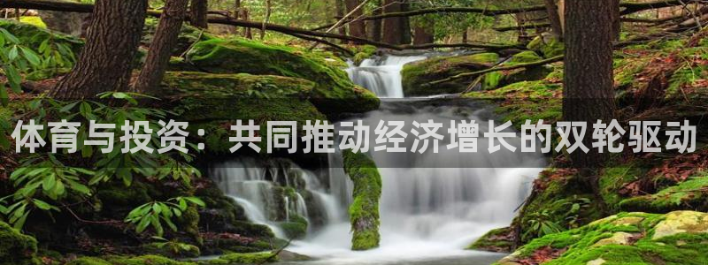 光速体育ios官方网站：体育与投资：共同推动经济增长的双轮驱动