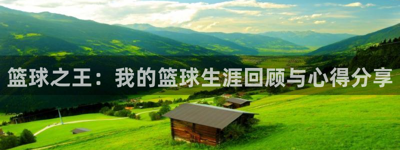 光速体育官方版下载：篮球之王：我的篮球生涯回顾与心得分享