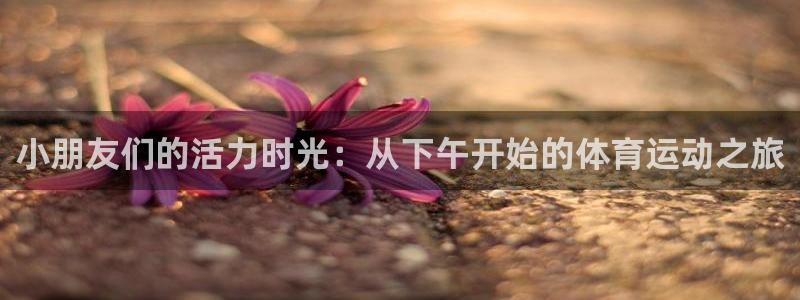 光速体育看NBA和cBA的软件：小朋友们的活力时光：从下午开始的体育运动之旅