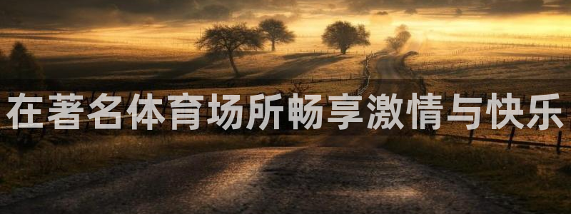 光速体育看NBA直播：在著名体育场所畅享激情与快乐