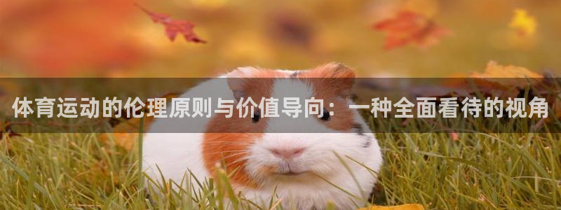 旧版光速体育：体育运动的伦理原则与价值导向：一种全面看待的视角