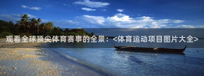 光速体育在线直播篮球：观看全球顶尖体育赛事的全景：<体育运动项目图片大全>